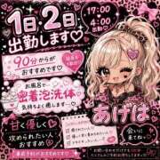 ヒメ日記 2026/07/30 17:28 投稿 あげは お姉ちゃんゴメンね