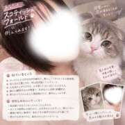 ヒメ日記 2026/10/22 11:16 投稿 ユナ COCOMERO（ココメロ）