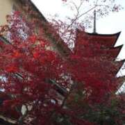 ヒメ日記 2026/10/07 10:22 投稿 アンリ(極) 人妻生レンタルNTR