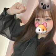れいな おはよんよん🐨🐹 プロフィール加古川