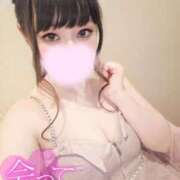 ヒメ日記 2026/07/31 10:36 投稿 しえる IRIS(岐阜)