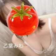 乙葉みわ 偶然じゃないのかも♡ 千葉快楽Ｍ性感倶楽部～前立腺マッサージ専門～