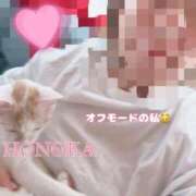 ヒメ日記 2026/10/09 10:26 投稿 穂乃果(ほのか) 可憐な妻たち 太田店
