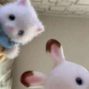 ヒメ日記 2026/08/14 04:20 投稿 るあ アムールクリスタル