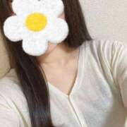 すい ありがとう🕊 水戸人妻花壇
