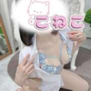 こねこ バッサリ✂️ 町田人妻城