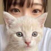ヒメ日記 2026/10/19 22:58 投稿 なこ★癒し系キレカワ和風女子★ Bell～S級美女お姉様・人妻デリヘル～