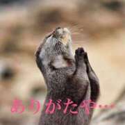 ヒメ日記 2026/08/25 14:26 投稿 あいか 熟女デリヘル倶楽部