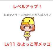 ヒメ日記 2026/08/10 12:49 投稿 なぎさ奥様 川崎人妻ソープ Mint(ミント)