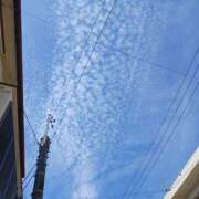 ヒメ日記 2026/07/28 08:54 投稿 うみ I❤HIMEJI（アイラブ姫路）