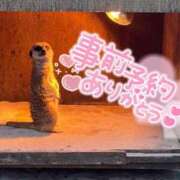 ヒメ日記 2026/08/11 13:13 投稿 さなつ ぷよステーション大宮店