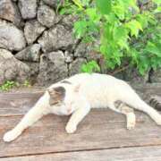 ヒメ日記 2026/09/10 12:58 投稿 ゆき PLATINUM PHIL