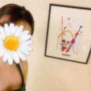 ヒメ日記 2026/08/24 08:22 投稿 しおり あとりえ(ATELIER)