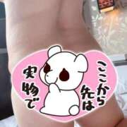 ヒメ日記 2026/08/12 21:51 投稿 すい 愛媛松山ちゃんこ