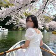 ヒメ日記 2026/08/20 13:01 投稿 まみ JAPAN CLUB BUNNY LOUNGE