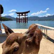 ヒメ日記 2026/08/11 17:16 投稿 池田しずか 五十路マダム　広島店