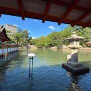 ヒメ日記 2026/08/15 16:42 投稿 池田しずか 五十路マダム　広島店