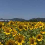 ヒメ日記 2026/07/23 20:49 投稿 あかり ロイヤル土佐