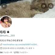 ヒメ日記 2026/08/13 15:51 投稿 のあ アイドルフェイス！ ウエスト・コム