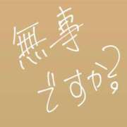 ヒメ日記 2026/08/23 02:25 投稿 ネネコ バニーコレクション千葉栄町店