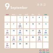 ヒメ日記 2026/09/04 17:45 投稿 ネネコ バニーコレクション千葉栄町店