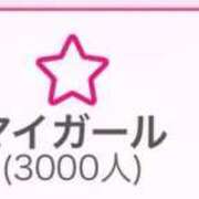 ネネコ マイがーるさん3000人突破‼️ バニーコレクション千葉栄町店