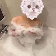 ヒメ日記 2026/08/17 22:04 投稿 みゆう ぷるるん小町梅田店