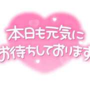 ヒメ日記 2026/08/02 15:22 投稿 ましろ 所沢東村山ちゃんこ