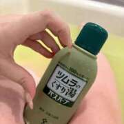 ヒメ日記 2026/07/31 20:34 投稿 向日葵（ひまわり） ビッグバード