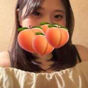 ヒメ日記 2026/08/08 09:54 投稿 向日葵（ひまわり） ビッグバード