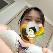 ヒメ日記 2026/08/14 14:44 投稿 向日葵（ひまわり） ビッグバード