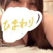 ヒメ日記 2026/08/29 21:54 投稿 向日葵（ひまわり） ビッグバード