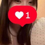 ヒメ日記 2026/09/03 14:14 投稿 向日葵（ひまわり） ビッグバード