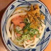ヒメ日記 2026/09/14 08:34 投稿 向日葵（ひまわり） ビッグバード