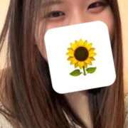 ヒメ日記 2026/10/04 09:34 投稿 向日葵（ひまわり） ビッグバード