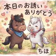 ヒメ日記 2026/07/28 08:49 投稿 ちほ 千葉柏ちゃんこ