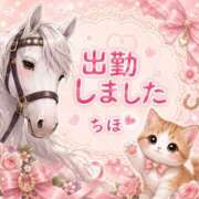 ヒメ日記 2026/09/03 21:19 投稿 ちほ 千葉柏ちゃんこ