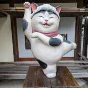 ヒメ日記 2026/09/21 21:45 投稿 君子（きみこ） ぎんねこ