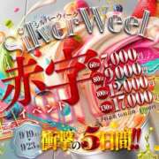 マナツ シルバーウィークキャンペーン‼️ ドMな奥さん 十三店