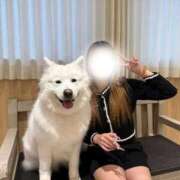 ヒメ日記 2026/08/16 19:58 投稿 あおば 特別授業