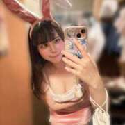 ヒメ日記 2026/09/08 20:10 投稿 ねこみみ ときめき女学院