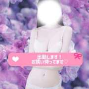 ヒメ日記 2026/08/07 12:03 投稿 みに ミセス ファースト -お姉さん・若妻専門店-