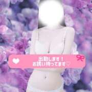 ヒメ日記 2026/08/18 09:01 投稿 みに ミセス ファースト -お姉さん・若妻専門店-