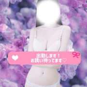 ヒメ日記 2026/08/19 12:03 投稿 みに ミセス ファースト -お姉さん・若妻専門店-