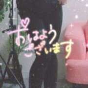 ヒメ日記 2026/10/11 09:45 投稿 るのん 千葉人妻花壇