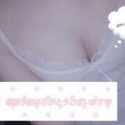 ヒメ日記 2026/07/31 09:06 投稿 すい DCP