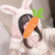 ヒメ日記 2026/08/21 20:01 投稿 すい DCP