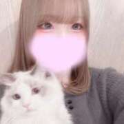 ヒメ日記 2026/10/14 14:36 投稿 すい 京都ホテヘル倶楽部