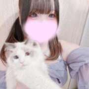 ヒメ日記 2026/09/13 21:01 投稿 すい 京都デリヘル倶楽部FIRST