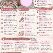 ヒメ日記 2026/10/13 20:01 投稿 すい 京都デリヘル倶楽部FIRST
